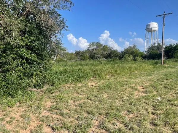 301 E Harald Street, Hebbronville, TX 78361