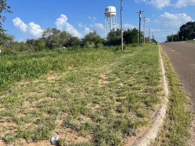 301 E Harald Street, Hebbronville, TX 78361 - #2