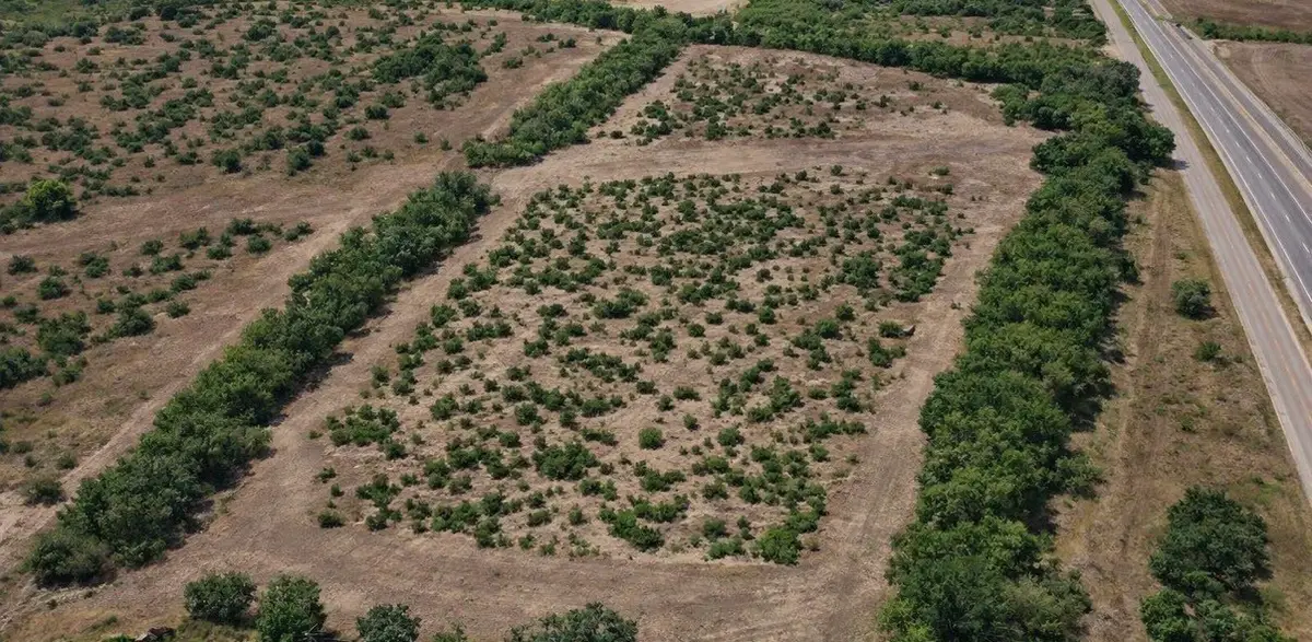 281 Highway Highway S, Alice, TX 78332 - #1