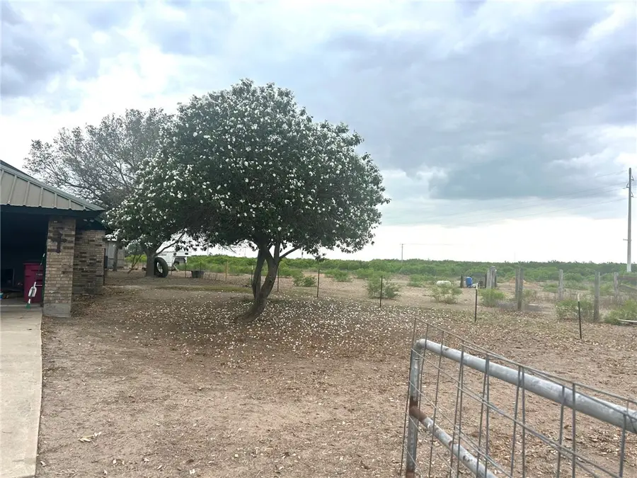 102 County Road 401, Falfurrias, TX 78355 - #3