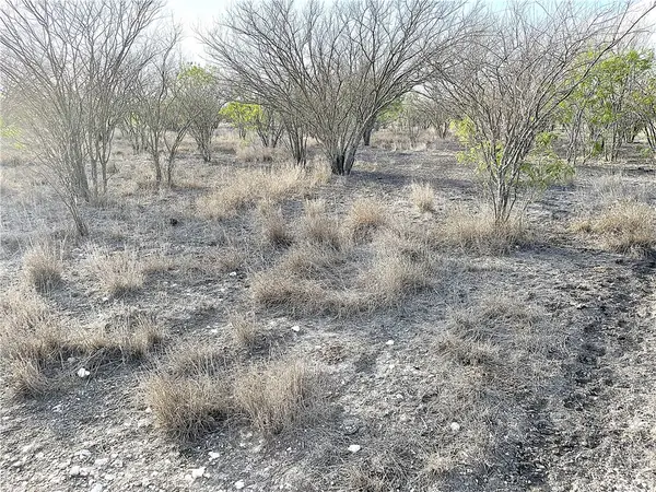 13538 County Road 133, Beeville, TX 78102