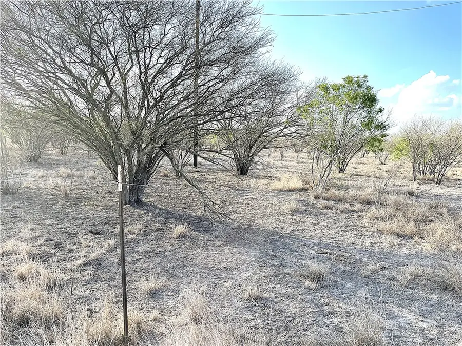 13538 County Road 133, Beeville, TX 78102 - #2
