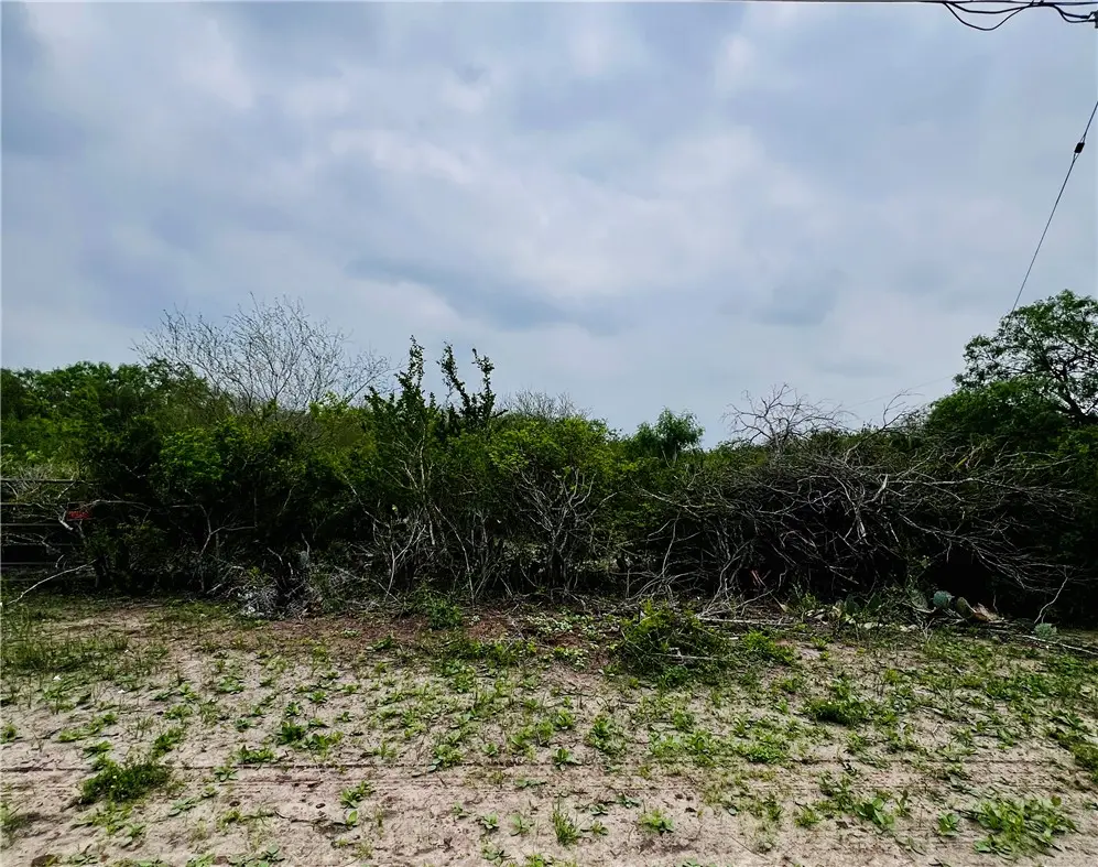 TBD Highway 359 Highway, Orange Grove, TX 78372 - #1