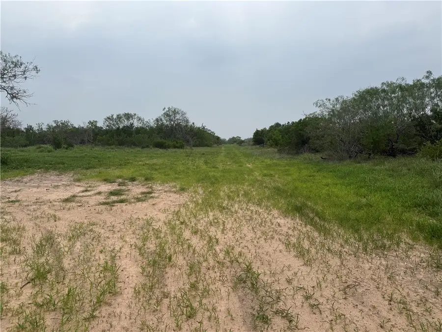 00 County Road 4251, Premont, TX 78375 - #3