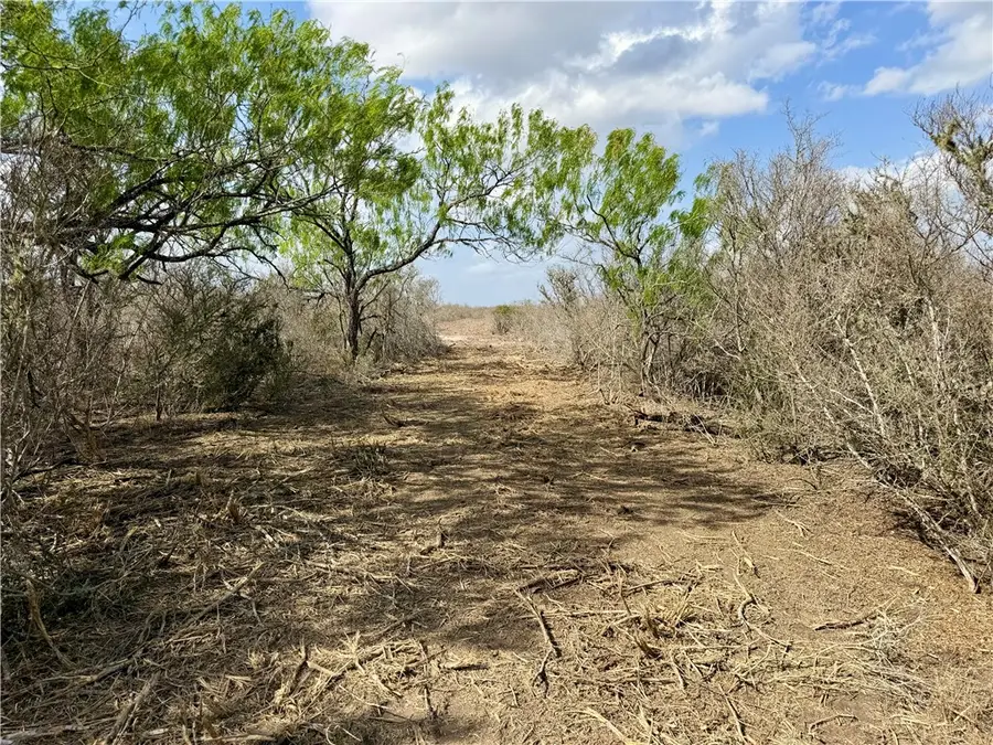 0 Cr 104, San Diego, TX 78334 - #3