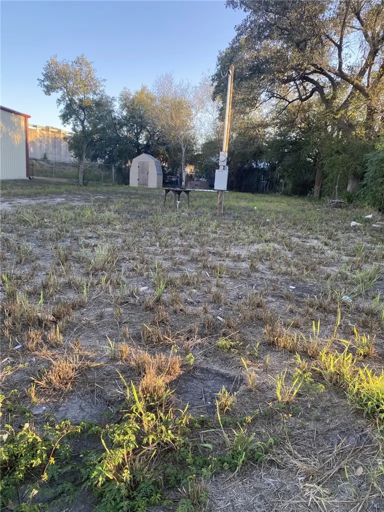 724 W Front Street, Alice, TX 78332 - #1
