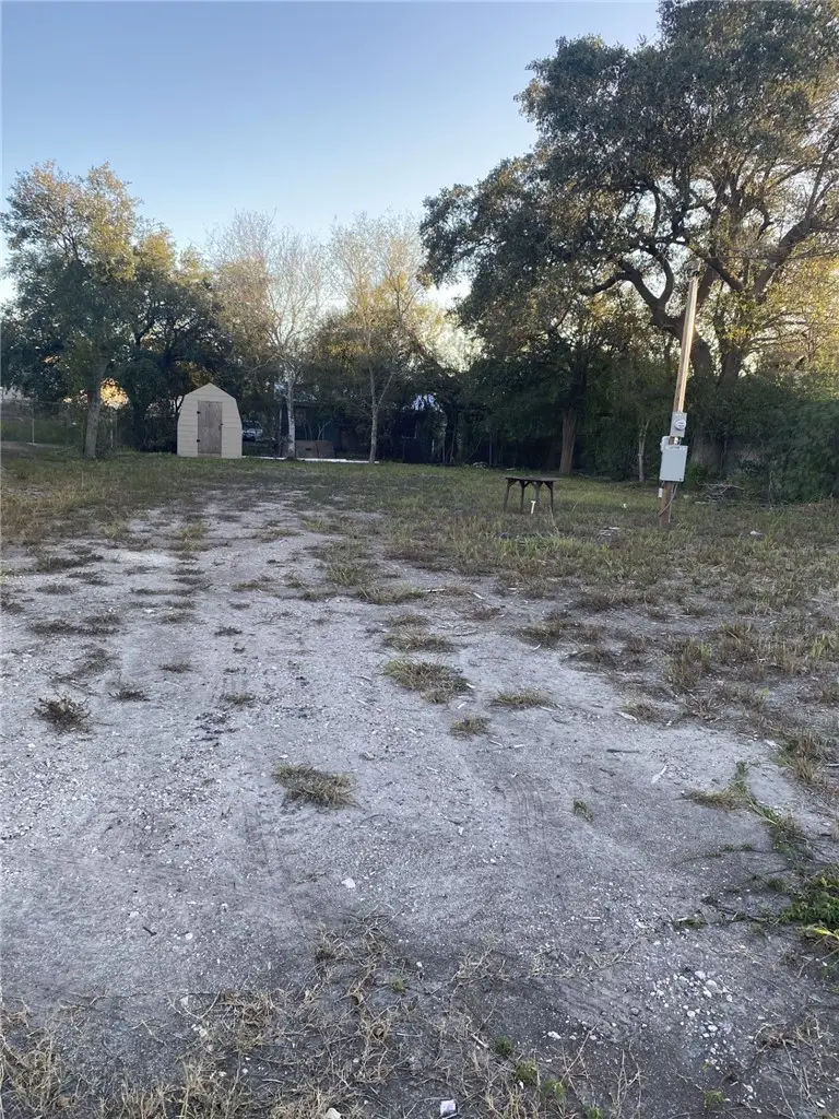 724 W Front Street, Alice, TX 78332 - #3