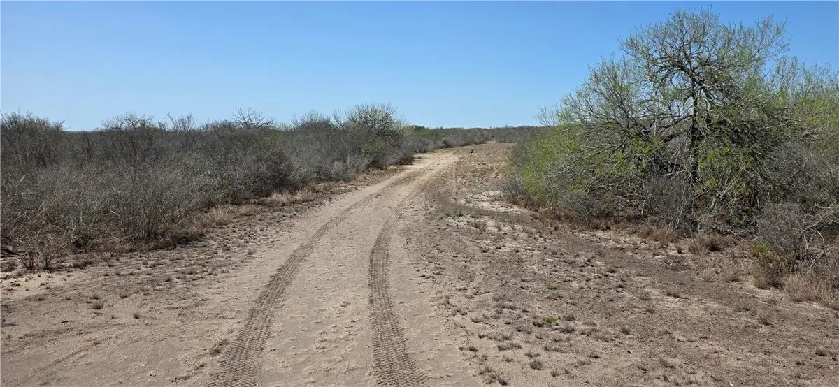 Address Withheld By Seller, Concepcion, TX 78349 - #1