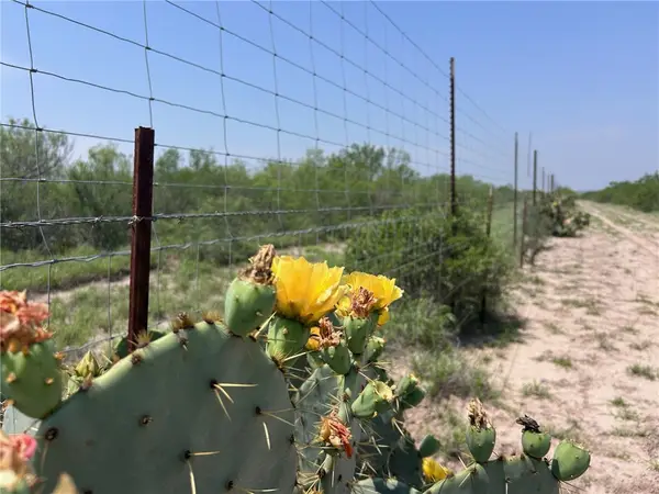 TBD Persimmon Dr, Freer, TX 78357