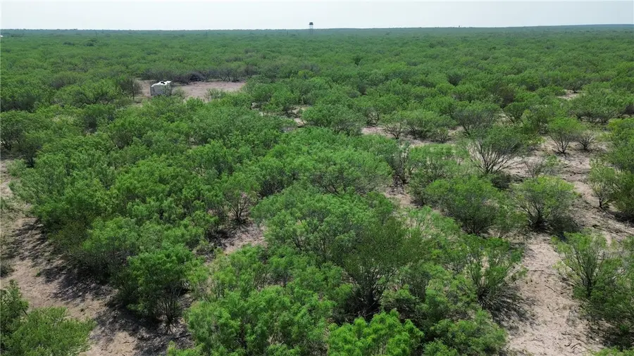 TBD Persimmon Dr, Freer, TX 78357 - #3