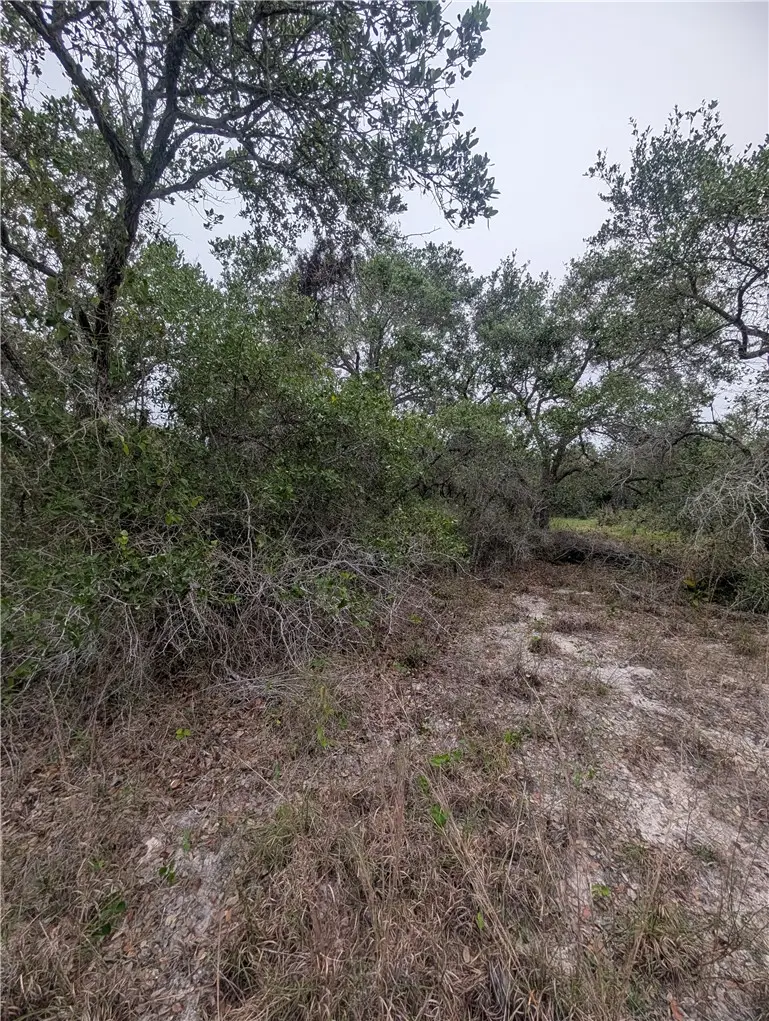 0 S 8th, Aransas Pass, TX 78336 - #1