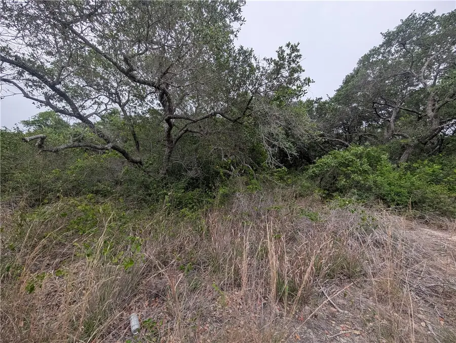 0 S 8th, Aransas Pass, TX 78336 - #2
