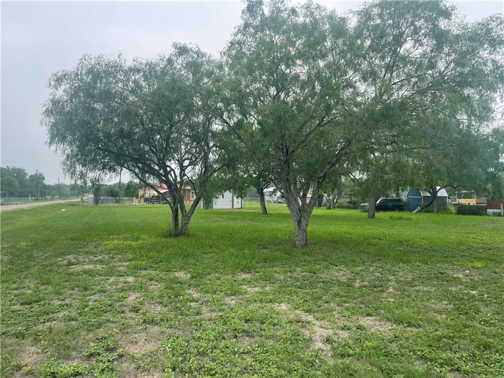 9673 County Road 350, Mathis, TX 78368 - #1