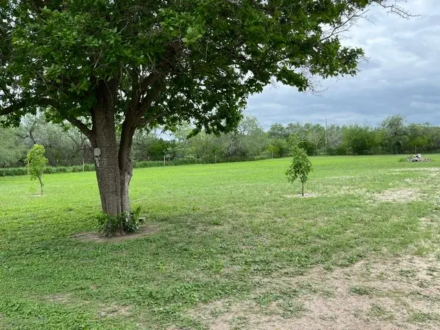 000 State Highwy 359, Realitos, TX 78376 - #2