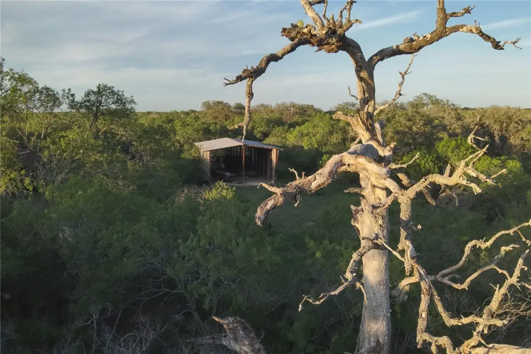 1305 Fm 799, George West, TX 78022 - #1
