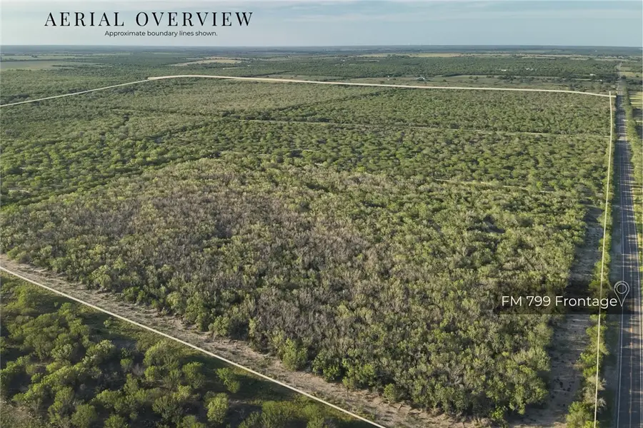 1305 Fm 799, George West, TX 78022 - #2