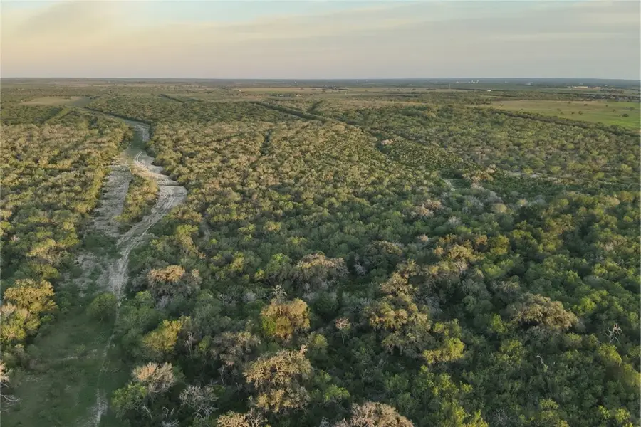 1305 Fm 799, George West, TX 78022 - #3