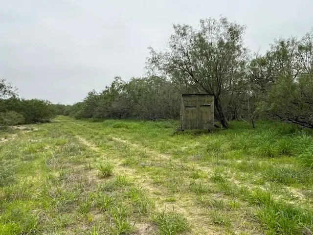 000 Fm 754, Falfurrias, TX 78355 - #2