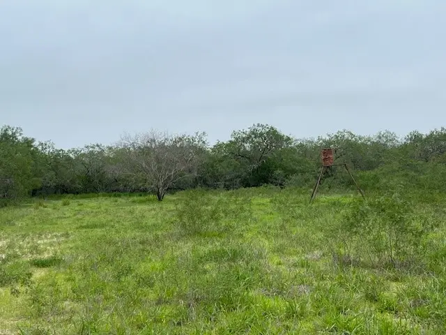 000 Fm 754, Falfurrias, TX 78355 - #3