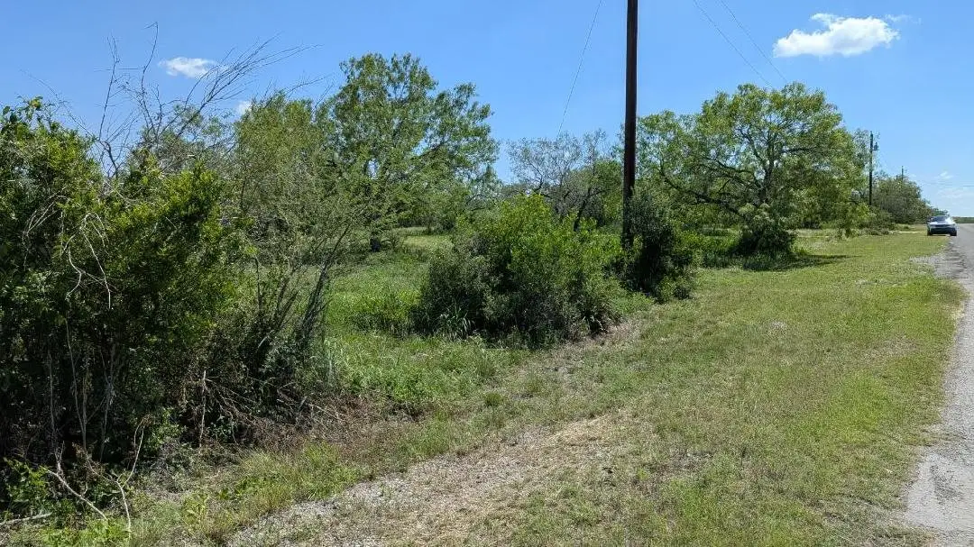 608 County Road 231, Orange Grove, TX 78372 - #1