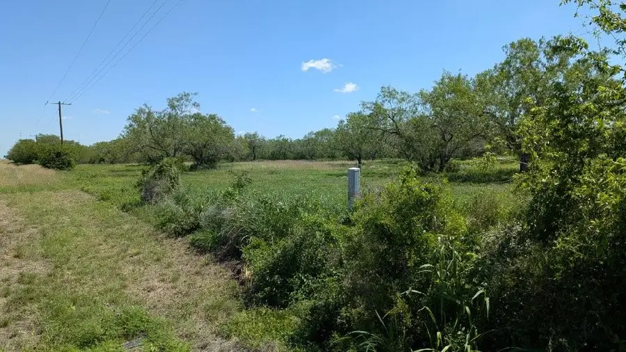 608 County Road 231, Orange Grove, TX 78372 - #2