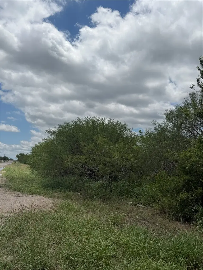 tbd County Road 137, Alice, TX 78332 - #3