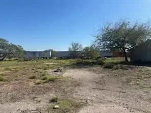 0 Highway 359, Orange Grove, TX 78372 - #2