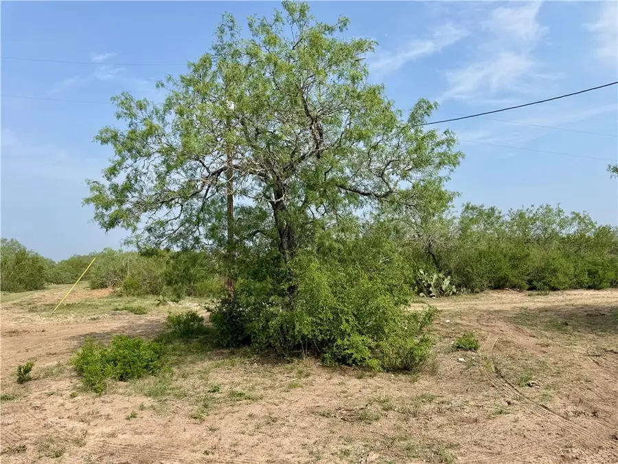 0 County Road 104, San Diego, TX 78334 - #3