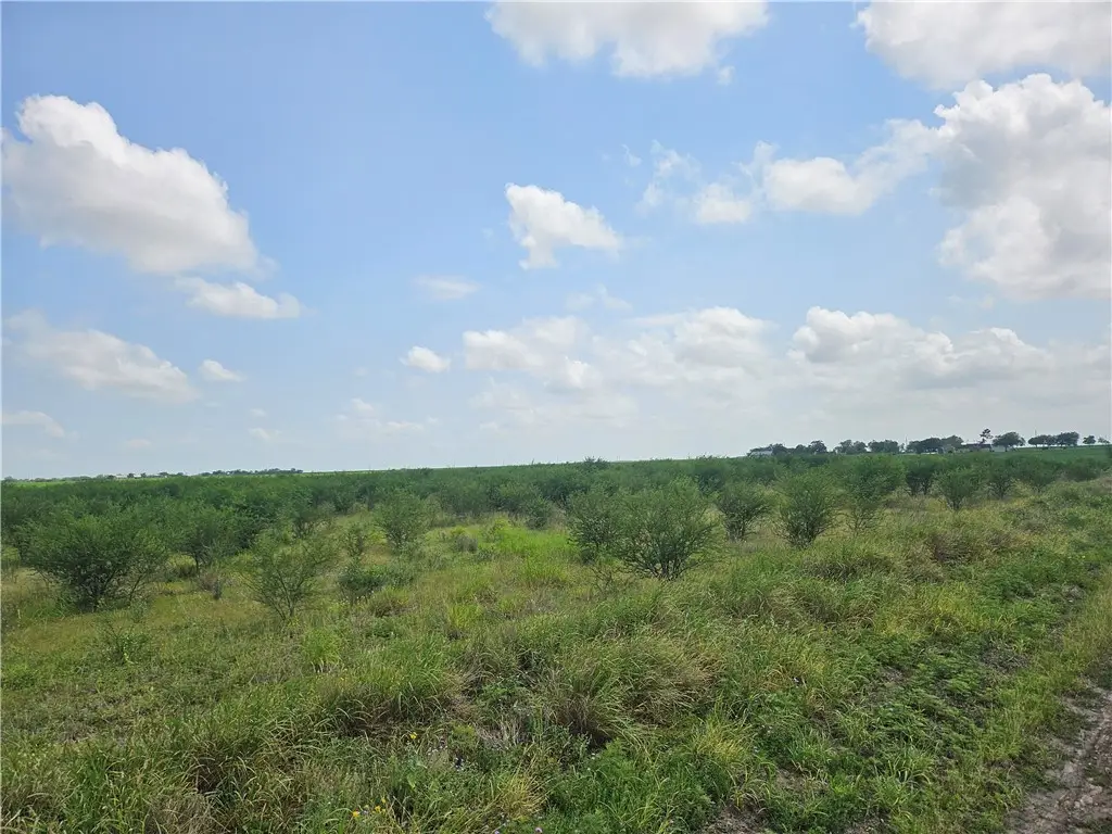0 Cr 364, Sandia, TX 78383 - #1