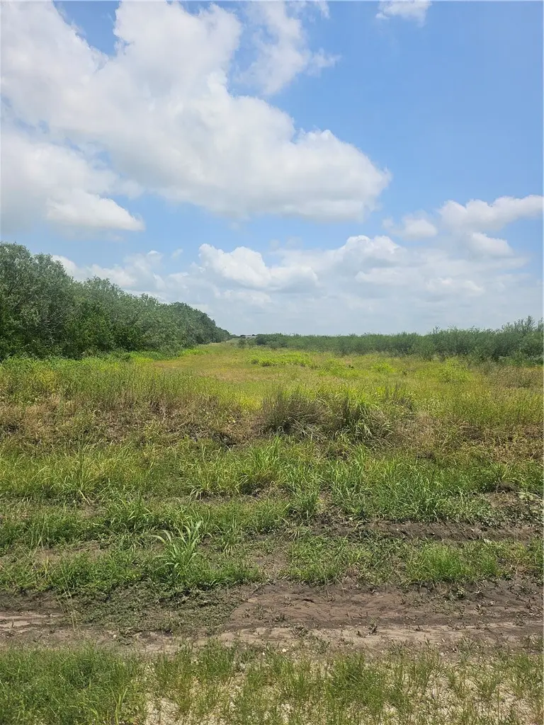 0 Cr 364, Sandia, TX 78383 - #2