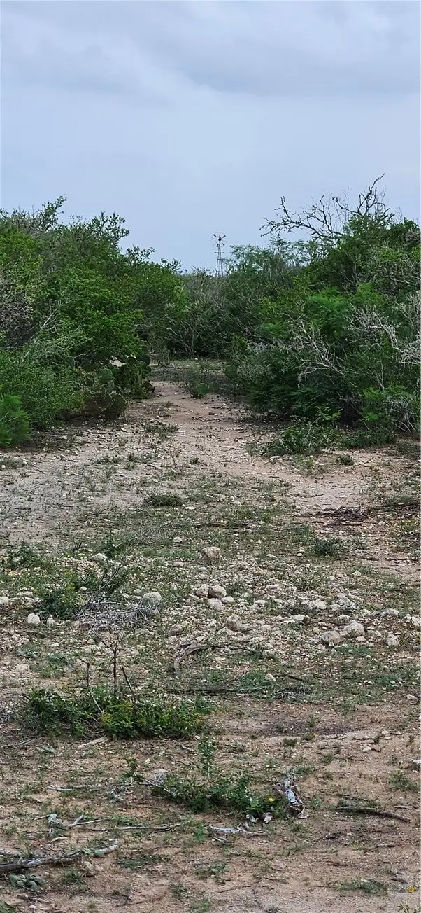 0 County Road 103, San Diego, TX 78384 - #2