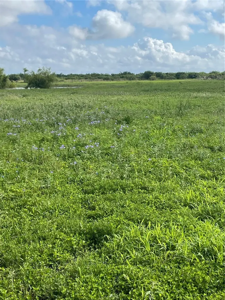 4416 County Road 1177, Taft, TX 78390 - #1