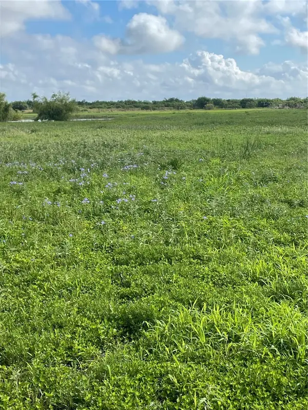 4416 County Road 1177, Taft, TX 78390