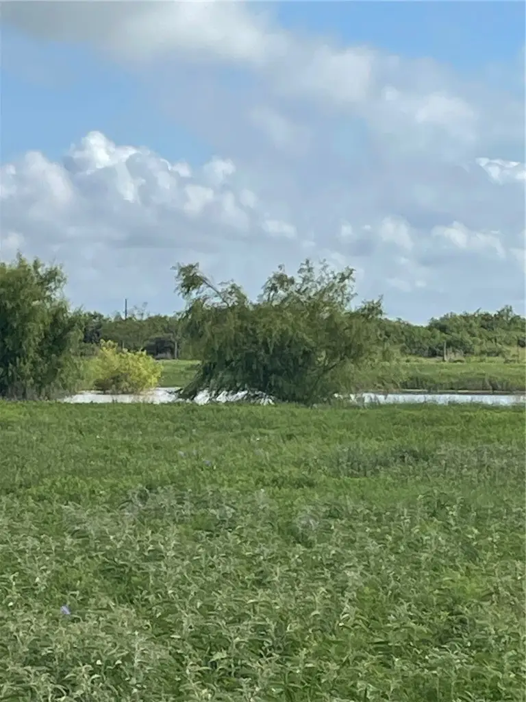 4416 County Road 1177, Taft, TX 78390 - #2