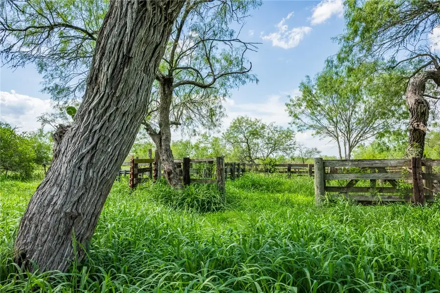 3900 Fm-2191, Falfurrias, TX 78355 - #2