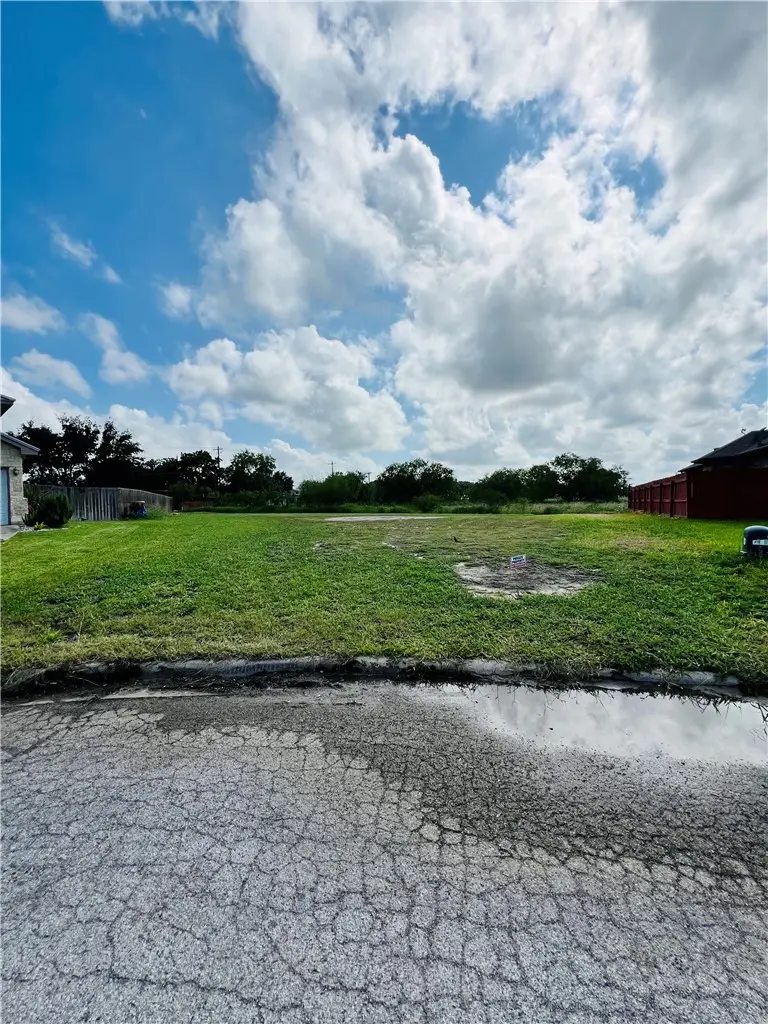 0 Diaz Drive, Alice, TX 78332 - #2