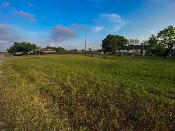 0 E 3rd St & N Grape Ave Street, Bishop, TX 78343