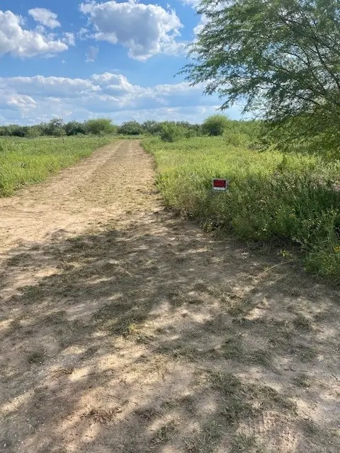 00 County Road 408, Falfurrias, TX 78355 - #3