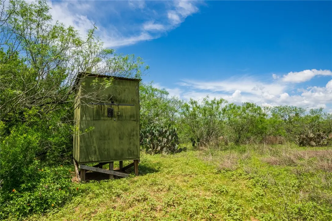 0000 Fm 3249, Realitos, TX 78376 - #1