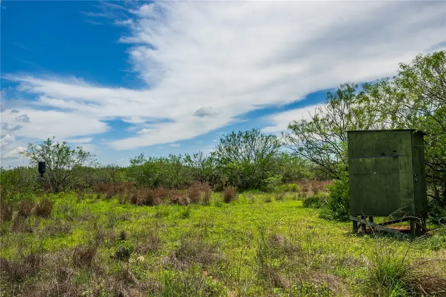 0000 Fm 3249, Realitos, TX 78376 - #2