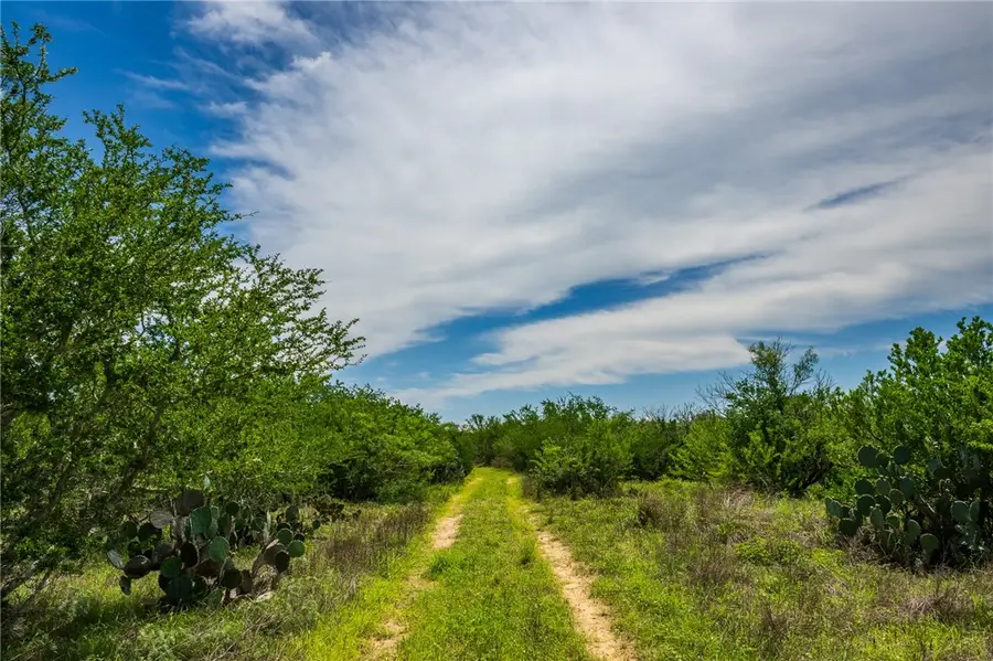 0000 Fm 3249, Realitos, TX 78376 - #3
