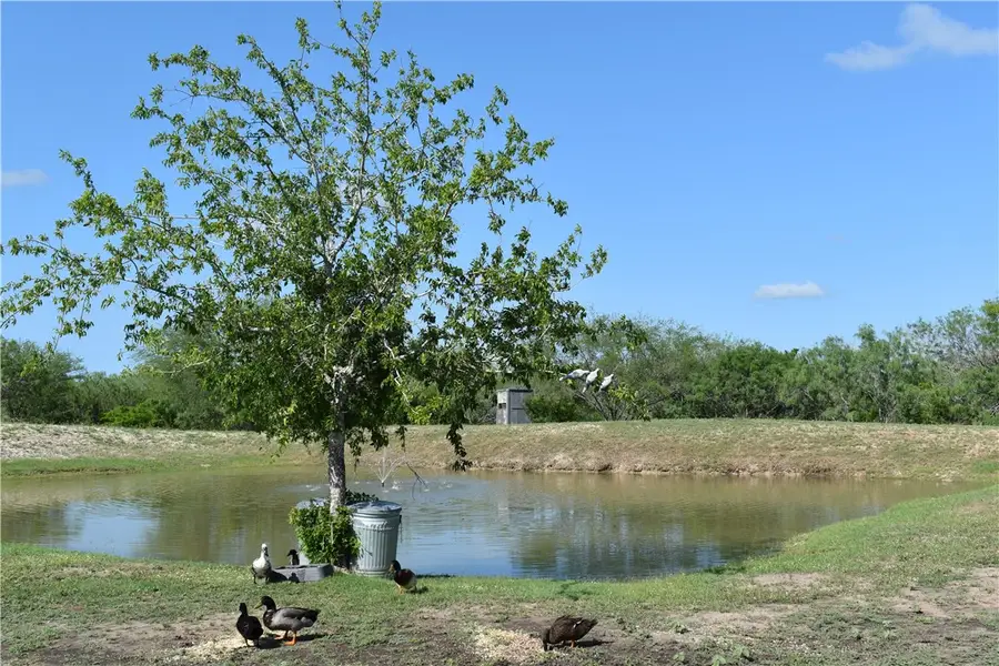 5729 County Road 308, Orange Grove, TX 78372 - #2