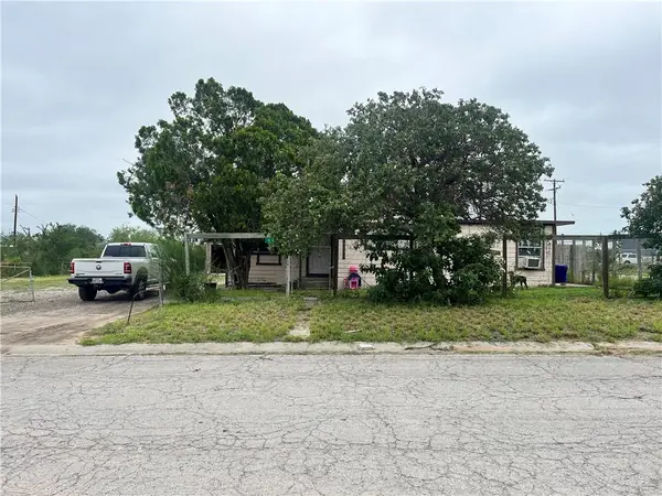 602 Richard Cruz Street, Freer, TX 78357