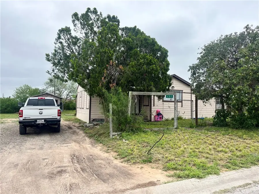 602 Richard Cruz Street, Freer, TX 78357 - #3