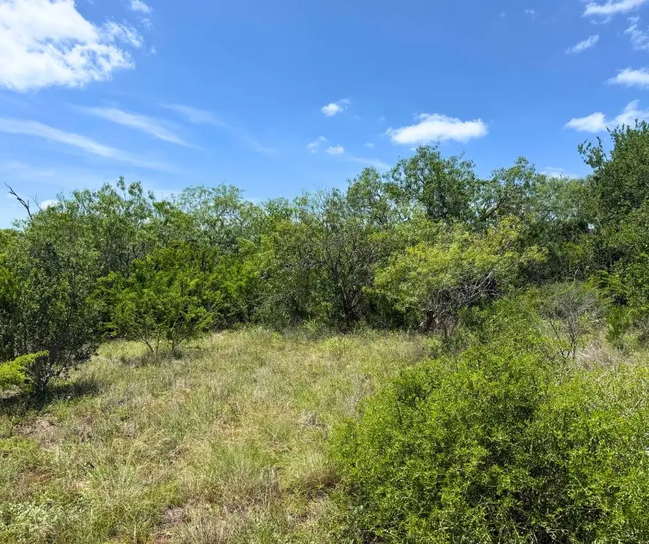 0 County Road 334, Beeville, TX 78102 - #1