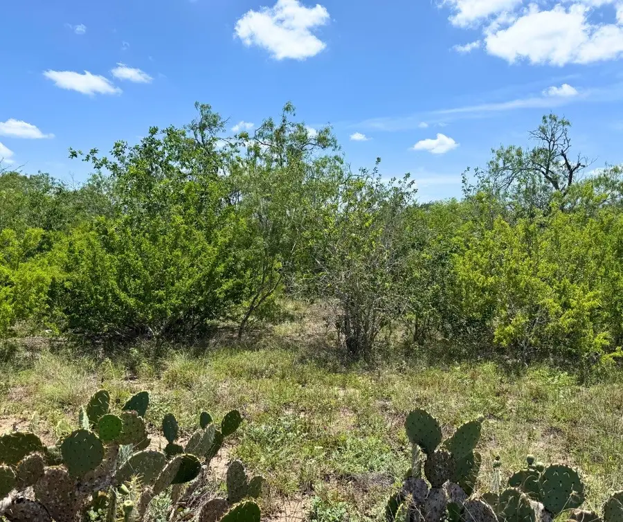 0 County Road 334, Beeville, TX 78102 - #2