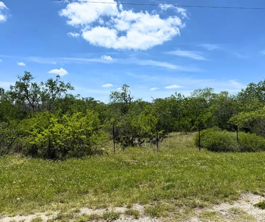 0 County Road 334, Beeville, TX 78102 - #3