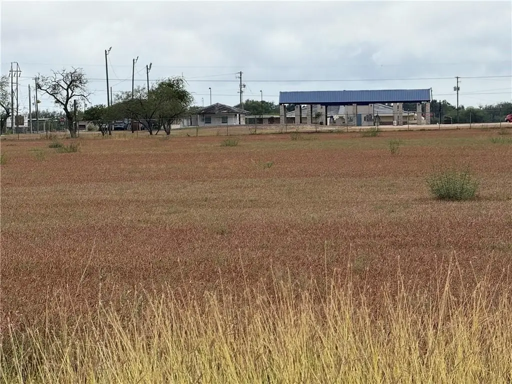 TBA #1 French Street, Alice, TX 78332 - #1