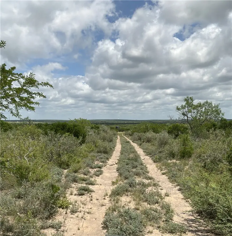 0 Private Road, San Diego, TX 78384 - #2