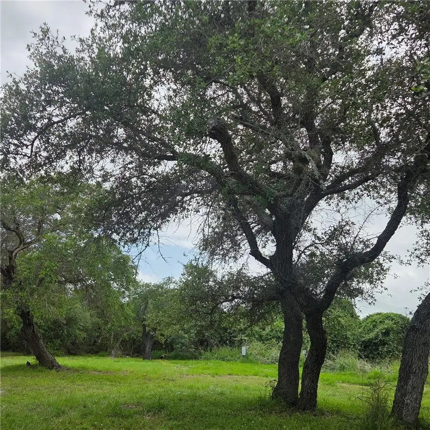 841 Jacoby, Aransas Pass, TX 78336 - #3